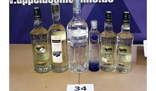 5 div flessen wodka, wo FINLANDIA