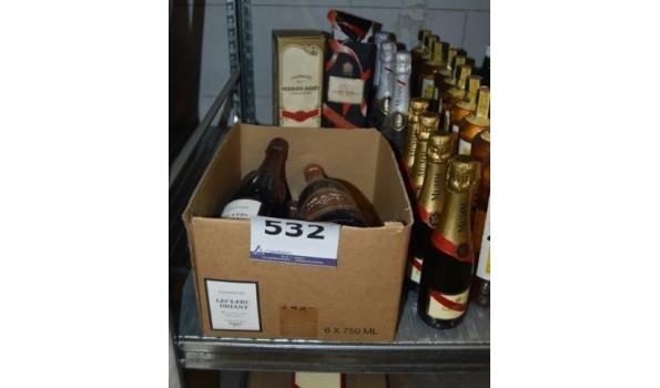 Flessen Ragger 14 diverse flessen champagnes | Appelboomonline.be