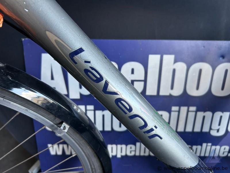 Fiets L'AVENIR, met sleutel, nummer RENO013 – foto 3 – kavel bij Appelboom