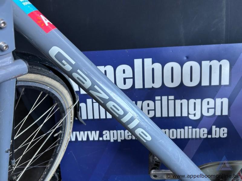 Fiets GAZELLE Heavy Duty NL, met sleutel, nummer RENO 007 – foto 3 – kavel bij Appelboom