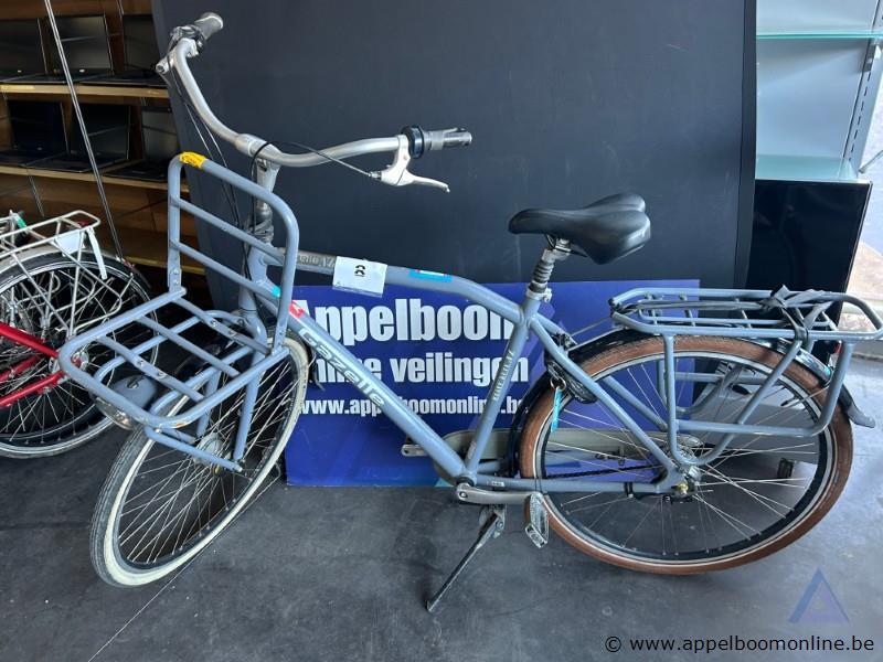 Fiets GAZELLE Heavy Duty NL, met sleutel, nummer RENO 007 – kavel bij Appelboom