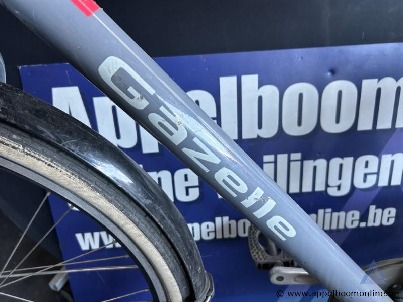 Fiets Gazelle Heavy Duty NL, zonder sleutel, nummer RENO 005 – foto 3 – kavel bij Appelboom