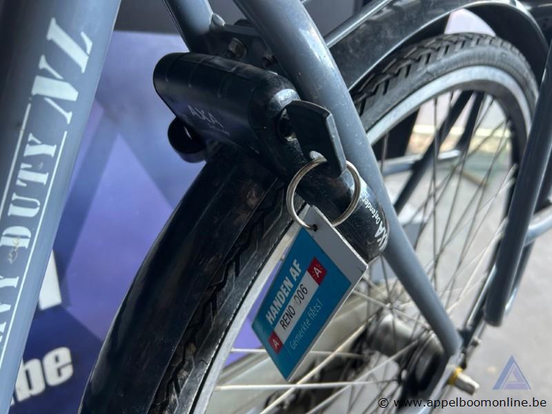 Fiets Gazelle Heavy Duty NL,met sleutel, nummer RENO 006 – foto 4 – kavel bij Appelboom