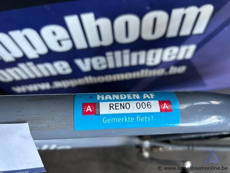 Fiets Gazelle Heavy Duty NL,met sleutel, nummer RENO 006 – foto 5 – kavel bij Appelboom
