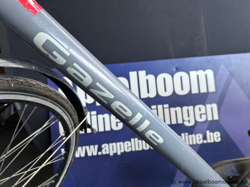 Fiets Gazelle Heavy Duty NL, met sleutel, nummer RENO 010 – foto 3 – kavel bij Appelboom