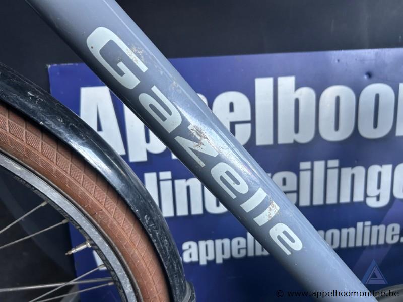 Fiets GAZELLE Heavy Duty NL, met sleutel, nummer RENO 009 – foto 3 – kavel bij Appelboom