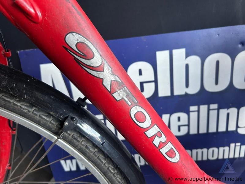 Fiets OXFORD, zonder sleutel – foto 3 – kavel bij Appelboom