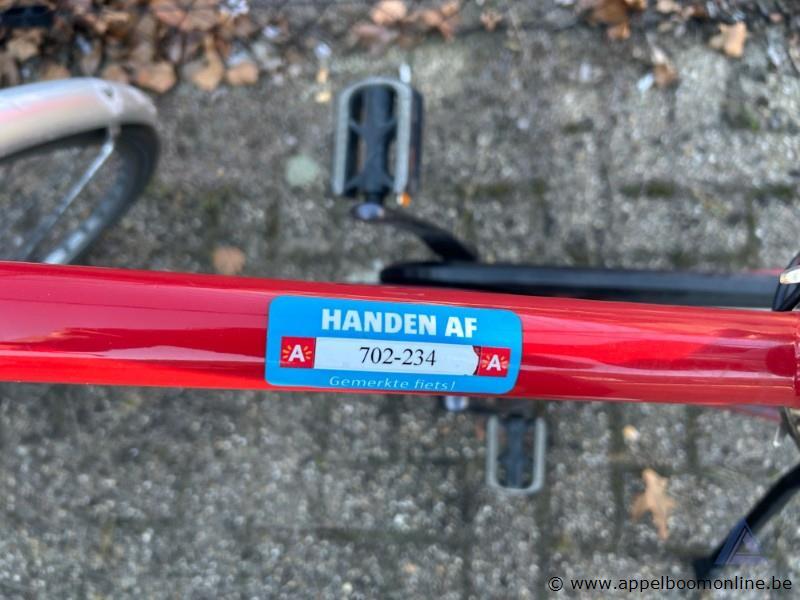 Elektrische fiets SHIMANO, batterij MV FOCUS, zonder sleutel, nummer 702-234, lader aanwezig, werking niet gekend – foto 6 – kavel bij Appelboom