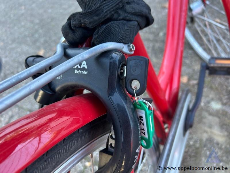 Fiets, met sleutel, nummer 701 - 738 – foto 3 – kavel bij Appelboom