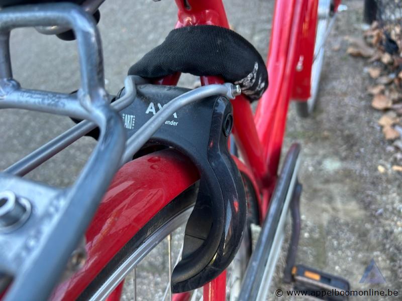 Fiets, zonder sleutel, nummer 701-752 – foto 3 – kavel bij Appelboom