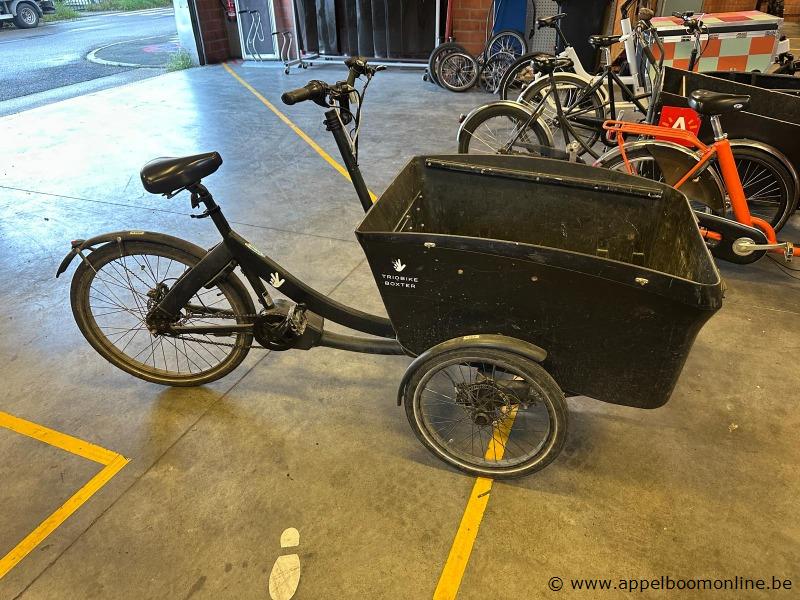 Bakfiets TRIOBIKE, met sleutel, nummer 702 - 404. Werking niet gekend – foto 2 – kavel bij Appelboom