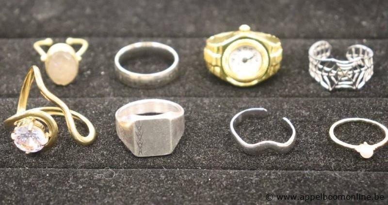 12 diverse ringen – foto 4 – kavel bij Appelboom