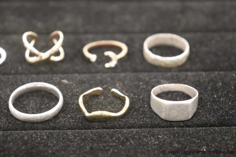 12 diverse ringen – foto 5 – kavel bij Appelboom