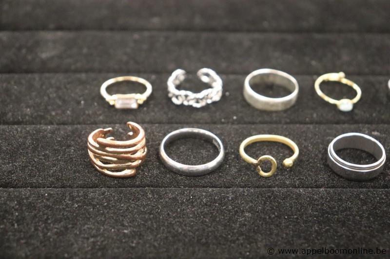 12 diverse ringen – foto 3 – kavel bij Appelboom