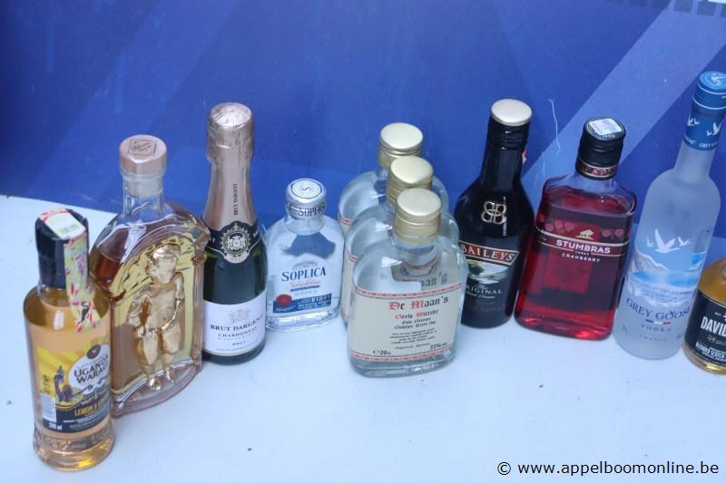 15 flesjes alcoholische dranken – foto 3 – kavel bij Appelboom